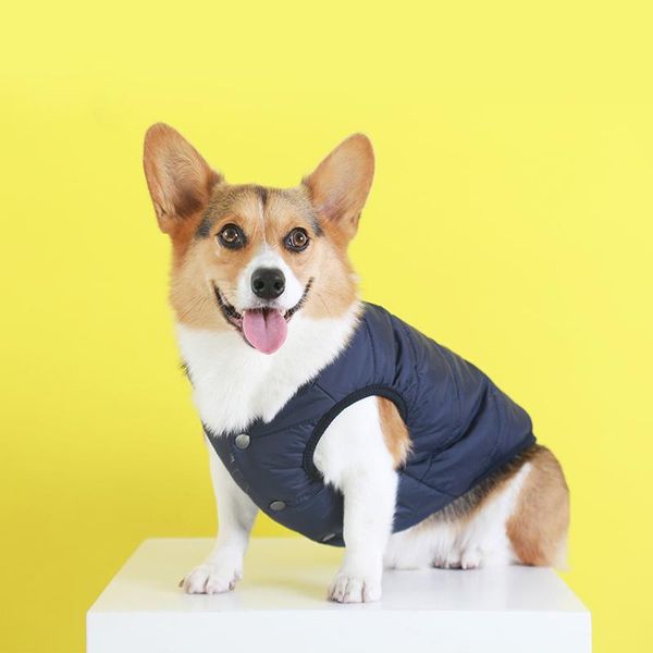 dog apparel winter pet warm vest coat clothes for clothing small dogs windproof large
dog apparel winter pet warm vest coat clothes for clothing small dogs windproof large