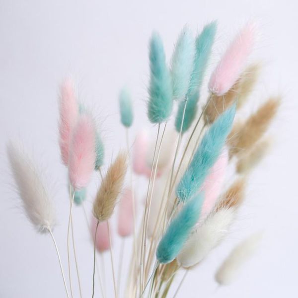decorative flowers & wreaths iong 100pcs weeding decor natural dried bunch mixed color tail grass for home real flower bouq
decorative flowers & wreaths iong 100pcs weeding decor natural dried bunch mixed color tail grass for home real flower bouq