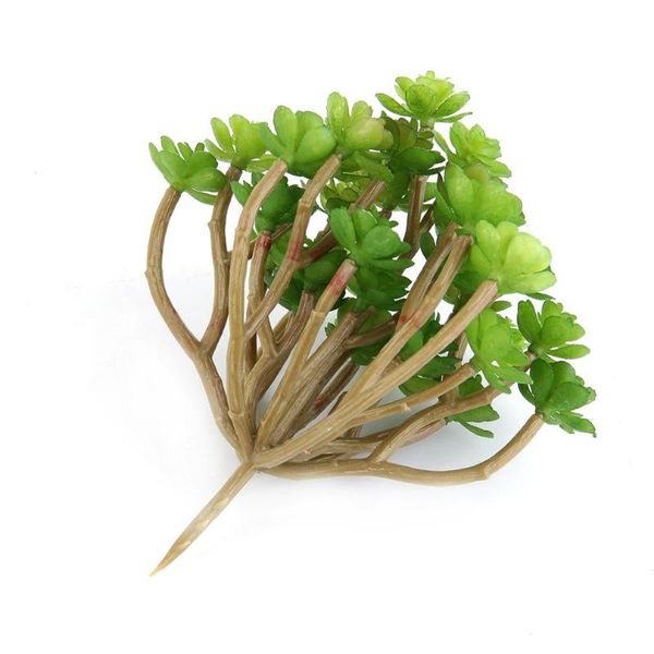 decorative flowers & wreaths 2021 arrival creative est green artificial faux mini succulent plant home wedding party perfect to decoration
decorative flowers & wreaths 2021 arrival creative est green artificial faux mini succulent plant home wedding party perfect to decoration