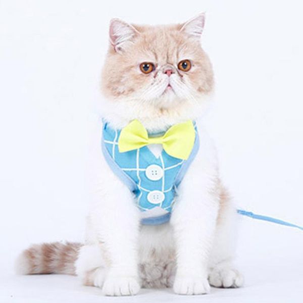 harness cat rope vest traction elegant collar led kitten harnesses katten harnas cats decoration terno gato pet products ee5qy collars & lea
harness cat rope vest traction elegant collar led kitten harnesses katten harnas cats decoration terno gato pet products ee5qy collars & lea