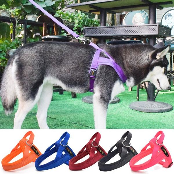 dog collars & leashes pets adjustable safety lead for large dogs nylon pet harness soft ves padded harnesses supplies
dog collars & leashes pets adjustable safety lead for large dogs nylon pet harness soft ves padded harnesses supplies
