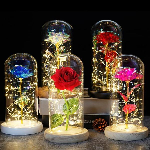 party decoration 2022 led glass cover gold foil rose flower lighting simulation light night gift
party decoration 2022 led glass cover gold foil rose flower lighting simulation light night gift