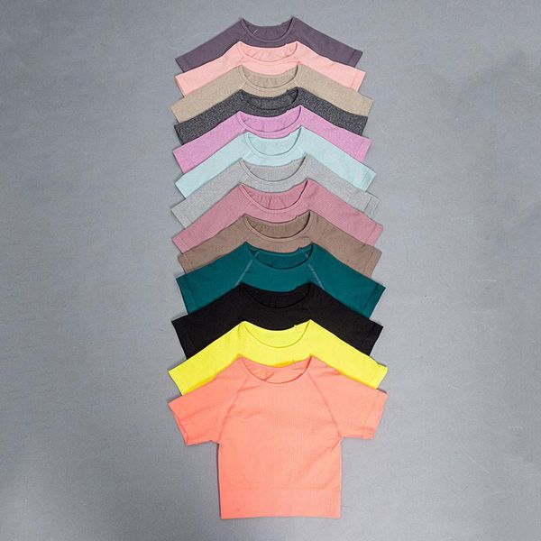 colors seamless yoga shirt women short sleeve running sport bras crop gym fitness clothing workout sportswear outfit
colors seamless yoga shirt women short sleeve running sport bras crop gym fitness clothing workout sportswear outfit