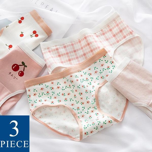 women's panties wontive 1pc 3pcs set women cute 100% cotton girls kawaii student underwear cherry printing briefs lolita boy shorts sil, Black;pink
women's panties wontive 1pc 3pcs set women cute 100% cotton girls kawaii student underwear cherry printing briefs lolita boy shorts sil, Black;pink