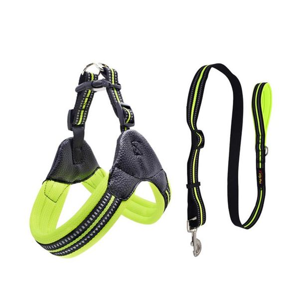dog collars & leashes explosive with reflective breathable pet chest strap leash chain
dog collars & leashes explosive with reflective breathable pet chest strap leash chain
