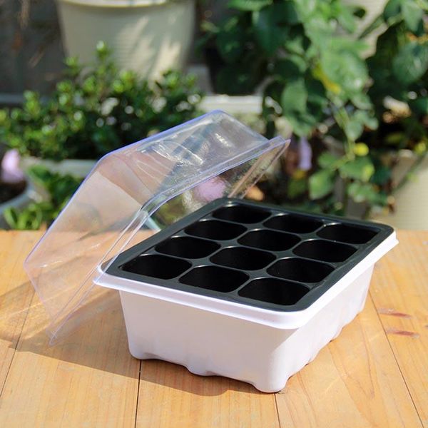 cells seedling tray with transparent lids seed plant grow box nursery holder gardening for jardin planters & pots
cells seedling tray with transparent lids seed plant grow box nursery holder gardening for jardin planters & pots