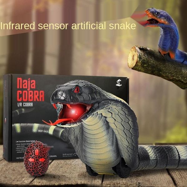 party masks pet kid toy cobra surprise joke rc animal centipede insect remote control snake prank egg controler caterpilla cat dog 
party masks pet kid toy cobra surprise joke rc animal centipede insect remote control snake prank egg controler caterpilla cat dog