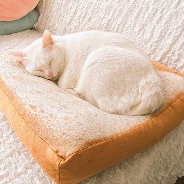 bread cats bed toast slice style pet mats cushion soft warm mattress for dogs drsa889 cat beds & furniture
bread cats bed toast slice style pet mats cushion soft warm mattress for dogs drsa889 cat beds & furniture