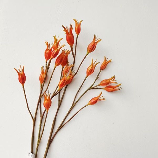 decorative flowers & wreaths fire of hope huangzhi fruit orange flower orchery simulates gardenia banyan leaf plastic branch
decorative flowers & wreaths fire of hope huangzhi fruit orange flower orchery simulates gardenia banyan leaf plastic branch