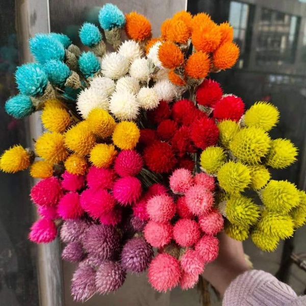 decorative flowers & wreaths 1 bouquet strawberry fruit real dried flower for diy craft wedding party home arrangement decoration
decorative flowers & wreaths 1 bouquet strawberry fruit real dried flower for diy craft wedding party home arrangement decoration