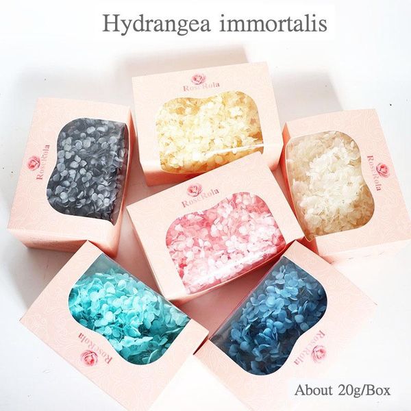 decorative flowers & wreaths 20g eternal flower hydrangea head valentine's day gift preserved immortal diy hug bucket box bouquet mater
decorative flowers & wreaths 20g eternal flower hydrangea head valentine's day gift preserved immortal diy hug bucket box bouquet mater