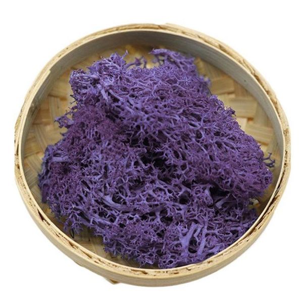 decorations artificial moss decorative sphagnum dry natural fresh flowers grass for flower garden lawn wedding decoration-
decorations artificial moss decorative sphagnum dry natural fresh flowers grass for flower garden lawn wedding decoration-