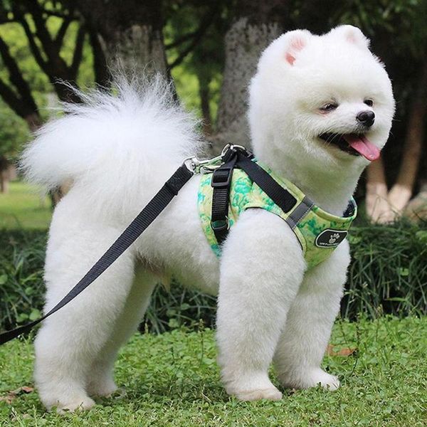 dog collars & leashes reflective pet vest harness and leash set for small dogs pomeranian yorkshire harnesses nylon puppy lead chain supplie
dog collars & leashes reflective pet vest harness and leash set for small dogs pomeranian yorkshire harnesses nylon puppy lead chain supplie