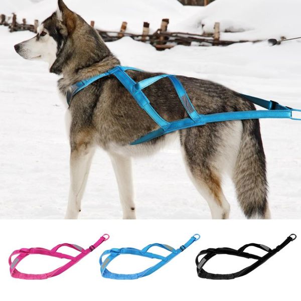 dog collars & leashes winter pet sledding harness reflective dogs weight pulling warm padded for training exercise skijoring scootering k9
dog collars & leashes winter pet sledding harness reflective dogs weight pulling warm padded for training exercise skijoring scootering k9