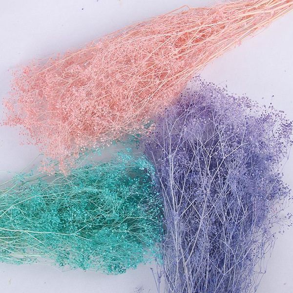 decorative flowers & wreaths 40g/natural gypsophila everlasting flower million star dried kasumi grass home decoration accessories for livin
decorative flowers & wreaths 40g/natural gypsophila everlasting flower million star dried kasumi grass home decoration accessories for livin