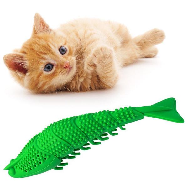 cat toys toy toothbrush gifts shrimp catnip pet supplies molar stick teeth cleaning teaser simulation playing for
cat toys toy toothbrush gifts shrimp catnip pet supplies molar stick teeth cleaning teaser simulation playing for