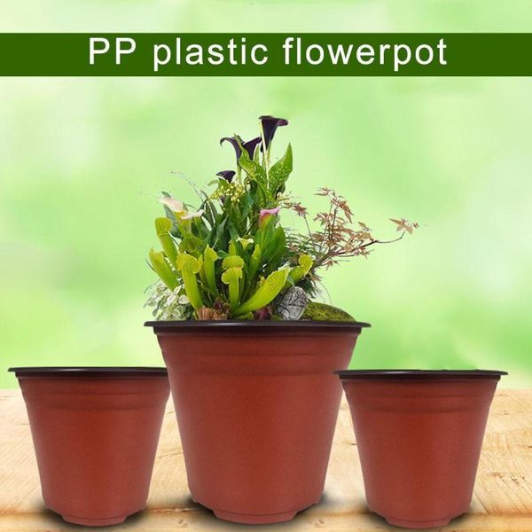 50pcs/set flower pot plastic plant pots deskpotted size flowerpot green home vegetation nursery 12 tools garden m1k8 planters &
50pcs/set flower pot plastic plant pots deskpotted size flowerpot green home vegetation nursery 12 tools garden m1k8 planters &