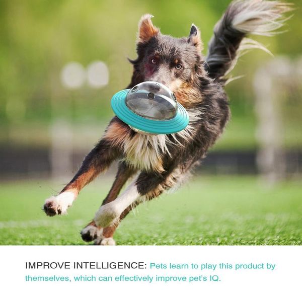 small animal supplies bite resistant dog toy flying saucer food spiller educational delicious healthy
small animal supplies bite resistant dog toy flying saucer food spiller educational delicious healthy