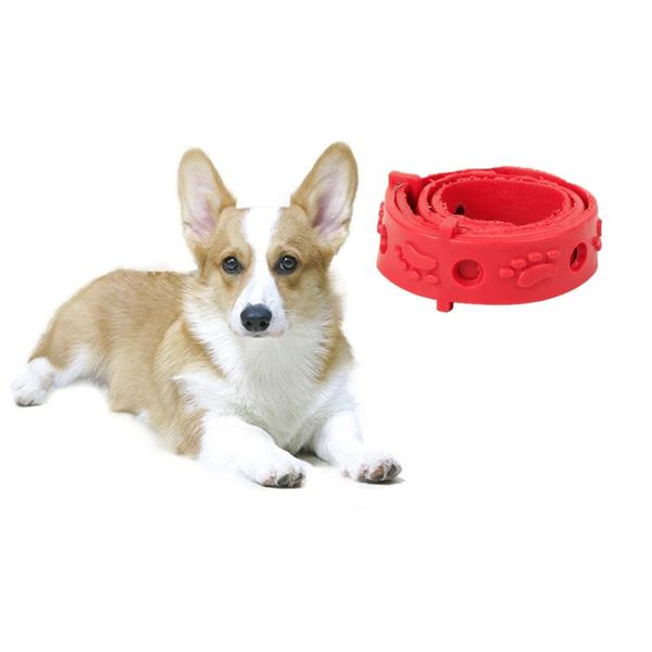 dog collars & leashes anti flea tick mosquitoes adjustable collar for and cat universal pet protection neck strap health supplies
dog collars & leashes anti flea tick mosquitoes adjustable collar for and cat universal pet protection neck strap health supplies