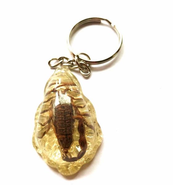20 pcs big size fashion real four leaf clover keychain collecting drifting bottle mixed insect jewelry, Slivery;golden
20 pcs big size fashion real four leaf clover keychain collecting drifting bottle mixed insect jewelry, Slivery;golden