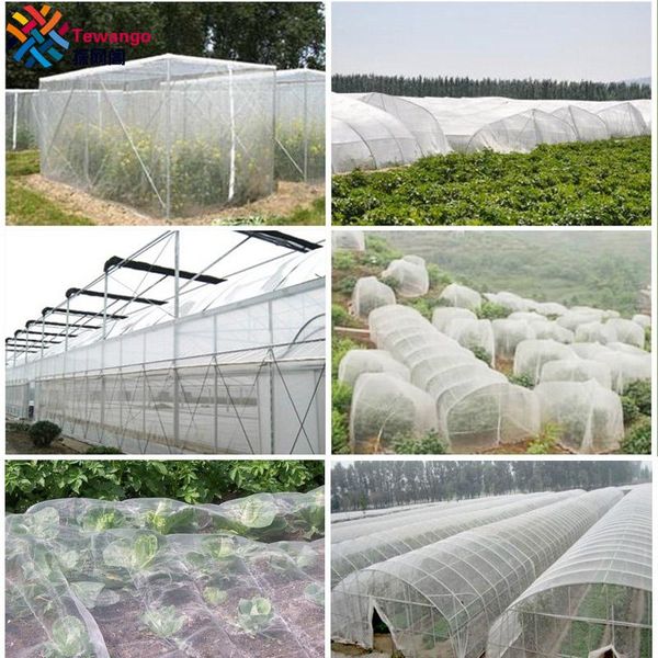 shade 40mesh 3x5meter insect netting garden vegetables protection mosquito pest control for fruit tree greenhouse
shade 40mesh 3x5meter insect netting garden vegetables protection mosquito pest control for fruit tree greenhouse