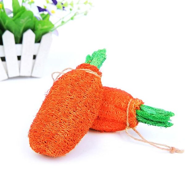 small animal supplies hamster chew toys loofah sponge for dwarf pig bite toy molar radish pet
small animal supplies hamster chew toys loofah sponge for dwarf pig bite toy molar radish pet