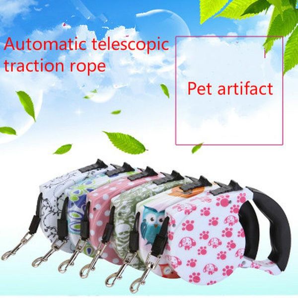 colorful retractable dog leash extending puppy walking leads pet running leashes hands y great for collars &
colorful retractable dog leash extending puppy walking leads pet running leashes hands y great for collars &