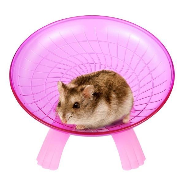 small animal supplies popetpop hamster pet flying saucer exercise wheel for running jogging )
small animal supplies popetpop hamster pet flying saucer exercise wheel for running jogging )