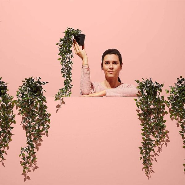 decorative flowers & wreaths artificial green dill wall vine plant chlorophytum flower ornament
decorative flowers & wreaths artificial green dill wall vine plant chlorophytum flower ornament