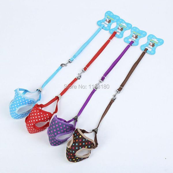 dog collars & leashes 50pcs/lot soft dot pet harness leash adjustable fashion puppy cat collar supplies
dog collars & leashes 50pcs/lot soft dot pet harness leash adjustable fashion puppy cat collar supplies