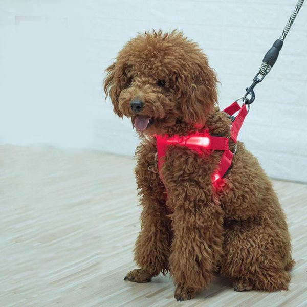 rechargeable chest harness led pet dog glow flashing light-up night safety hyd88 collars & leashes
rechargeable chest harness led pet dog glow flashing light-up night safety hyd88 collars & leashes