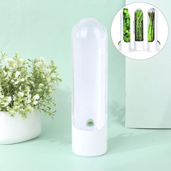 storage bottles & jars 1pc premium saver home kitchen gadgets container keeper keeps greens fresh cup specialty tools
storage bottles & jars 1pc premium saver home kitchen gadgets container keeper keeps greens fresh cup specialty tools