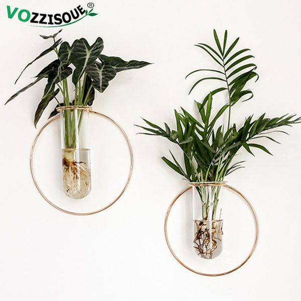 nordic iron rack vase wall mounted flower pots glass pot plant transparent metal stands hydroponic orchid planters &
nordic iron rack vase wall mounted flower pots glass pot plant transparent metal stands hydroponic orchid planters &