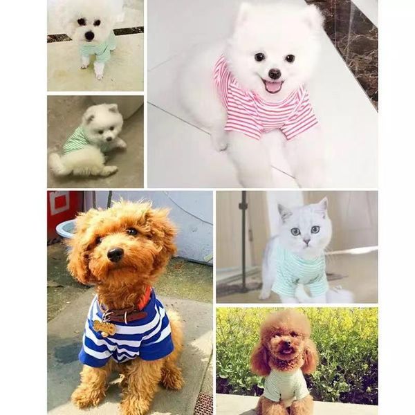 warm cat clothes pet small cats and dogs cotton soft kitten for pets costumes
warm cat clothes pet small cats and dogs cotton soft kitten for pets costumes
