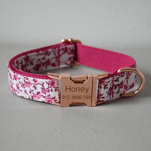dog collars & leashes soft coloured collar leash necklace pet straps for small medium dogs cat puppy training rope set drop
dog collars & leashes soft coloured collar leash necklace pet straps for small medium dogs cat puppy training rope set drop