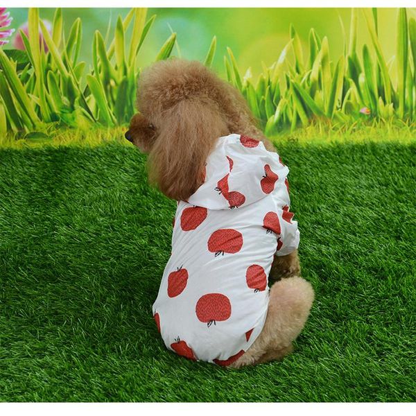 dog apparel summer pet sunscreen clothes for cats, dogs, hats, shirts, teddy hairdo, elizabeth and other small animal clothing, supplies
dog apparel summer pet sunscreen clothes for cats, dogs, hats, shirts, teddy hairdo, elizabeth and other small animal clothing, supplies