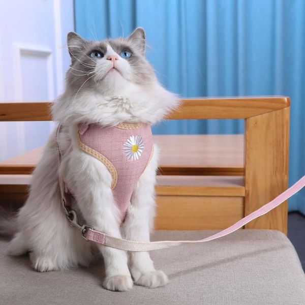 cat collars & leads small dog harness and leash set pet mesh padded harnesses vest puppy chihuahua rabbits hamster chest strap traction
cat collars & leads small dog harness and leash set pet mesh padded harnesses vest puppy chihuahua rabbits hamster chest strap traction