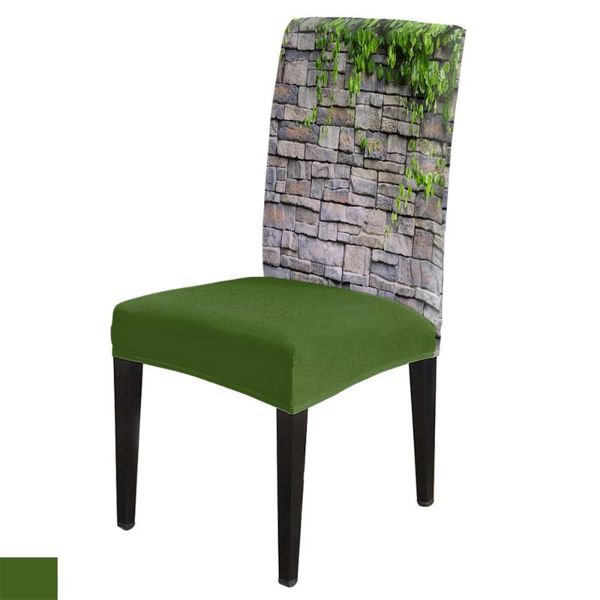 chair covers dining room cover green leaf stone wall table chairs for kitchen tablecloth home decor
chair covers dining room cover green leaf stone wall table chairs for kitchen tablecloth home decor