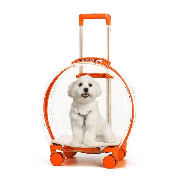 dog car seat covers astronaut window bubble portable suitcase breathable space transparent pet backpack cat hand push dual-use
dog car seat covers astronaut window bubble portable suitcase breathable space transparent pet backpack cat hand push dual-use