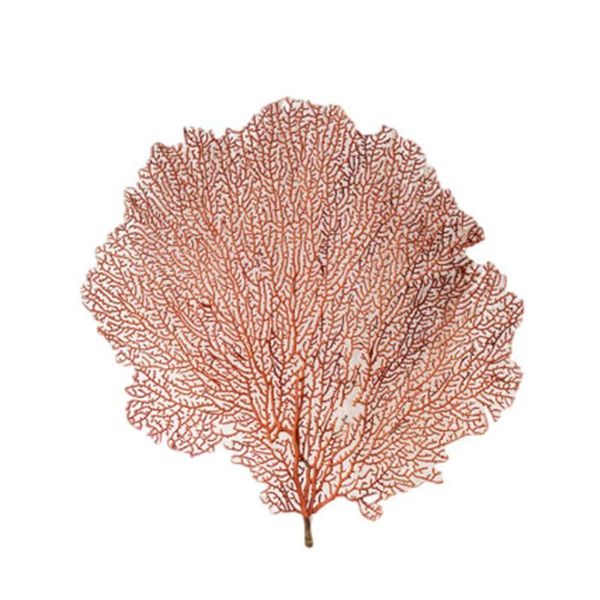 novelty items natural conch shells red sea iron tree submarine coral wicker frame decoration po landscaping
novelty items natural conch shells red sea iron tree submarine coral wicker frame decoration po landscaping