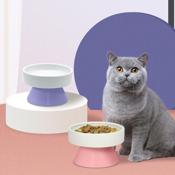heighten neck guard wide mouth round pet bowl ceramic spine protection water feeder cat dog tableware bowls & feeders
heighten neck guard wide mouth round pet bowl ceramic spine protection water feeder cat dog tableware bowls & feeders