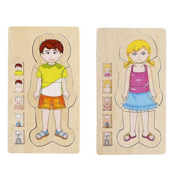 wooden multilayer human body puzzle male and female body structure model jigsaw body cognition toys for kids multilayer puzzles
wooden multilayer human body puzzle male and female body structure model jigsaw body cognition toys for kids multilayer puzzles