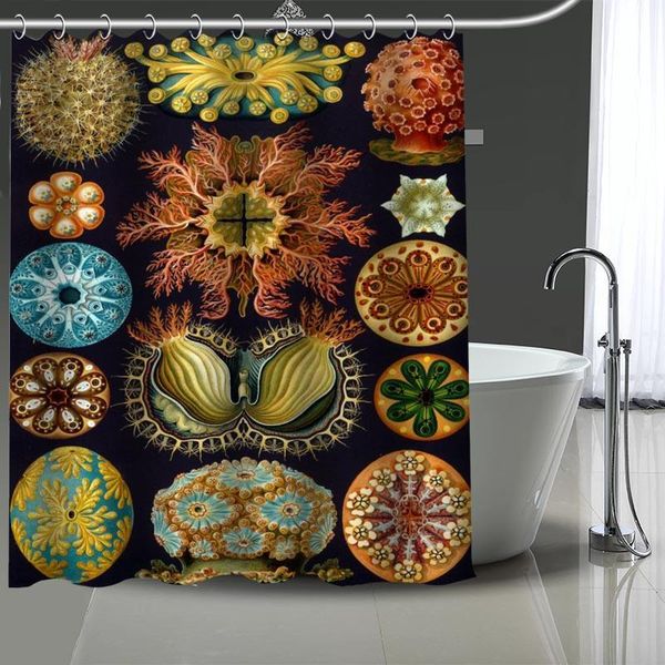 custom haeckel acephala shower curtains diy bathroom curtain fabric washable polyester for bathtub art decor
custom haeckel acephala shower curtains diy bathroom curtain fabric washable polyester for bathtub art decor