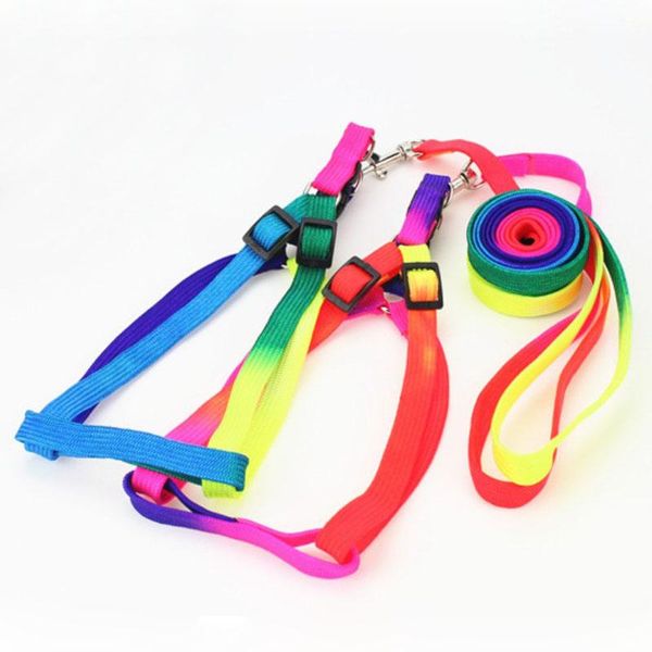 dog collars & leashes nylon rainbow pet with collar/harness together cat leads 10sets/lot wholesale
dog collars & leashes nylon rainbow pet with collar/harness together cat leads 10sets/lot wholesale