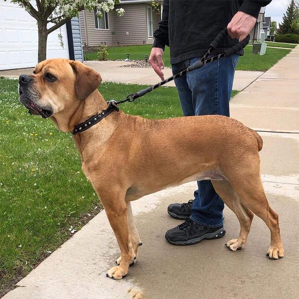 short large dog leash one step traction belt reflective round rope foam handle pet lead for medium big dogs explosion-proof collars & leashe
short large dog leash one step traction belt reflective round rope foam handle pet lead for medium big dogs explosion-proof collars & leashe