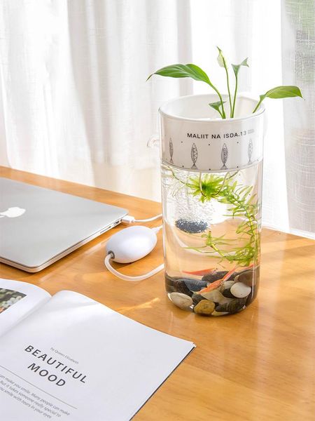 aquariums mini ecological small fish tank household flower growing creative lazy aquarium office desk transparent glass
aquariums mini ecological small fish tank household flower growing creative lazy aquarium office desk transparent glass