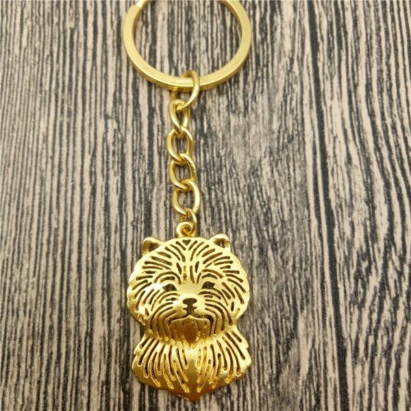 keychains cairn terrier key chains fashion pet dog jewellery car keychain bag keyring for women men, Silver
keychains cairn terrier key chains fashion pet dog jewellery car keychain bag keyring for women men, Silver