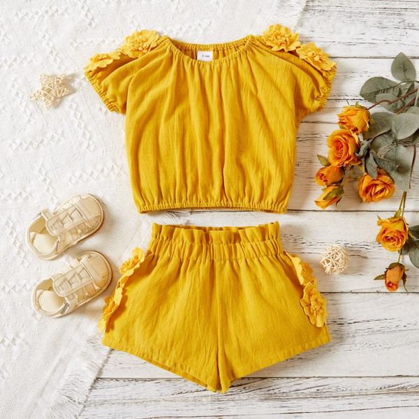 clothing sets summer toddler kids baby girls clothes solid fashion 3d floral t shirt shorts outfits set children's, White
clothing sets summer toddler kids baby girls clothes solid fashion 3d floral t shirt shorts outfits set children's, White