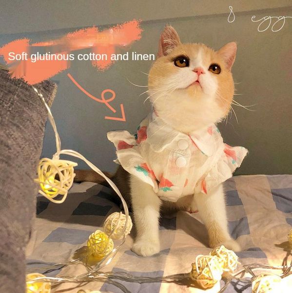 cat clothes dog dresses flying sleeves tide brand lotus leaf roupa para gato puppy princess pet costumes
cat clothes dog dresses flying sleeves tide brand lotus leaf roupa para gato puppy princess pet costumes