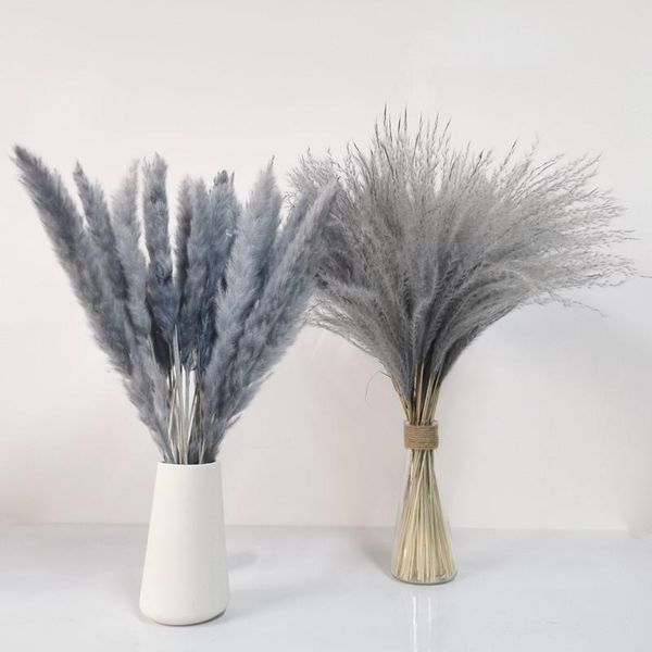 decorative flowers & wreaths dyed small reed pampas grass whisk dried party home decoration floral arrangement diy material plants accessori
decorative flowers & wreaths dyed small reed pampas grass whisk dried party home decoration floral arrangement diy material plants accessori